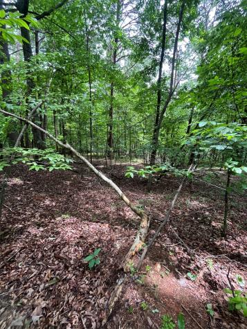 0 Whitestone Drive Cleveland GA 30528