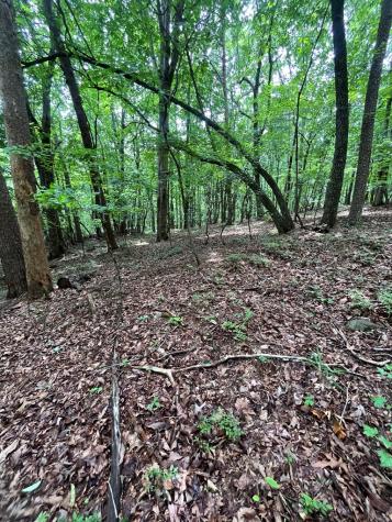 0 Whitestone Drive Cleveland GA 30528