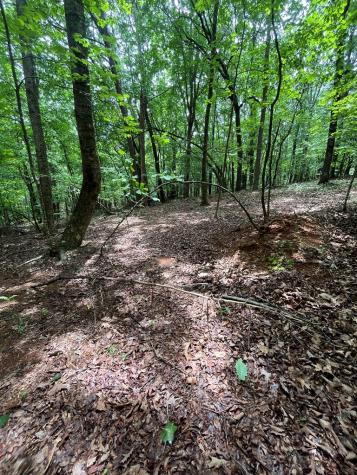 0 Whitestone Drive Cleveland GA 30528