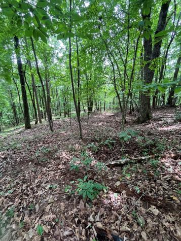 0 Whitestone Drive Cleveland GA 30528