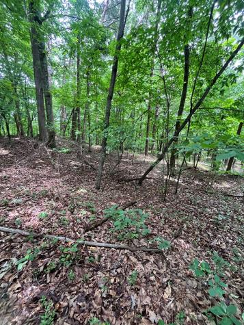 0 Whitestone Drive Cleveland GA 30528