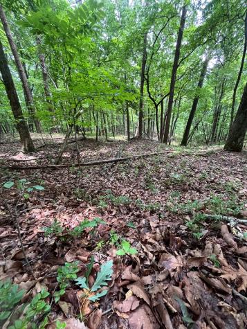 0 Whitestone Drive Cleveland GA 30528