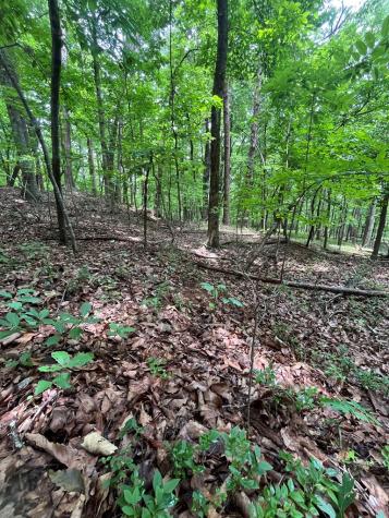 0 Whitestone Drive Cleveland GA 30528