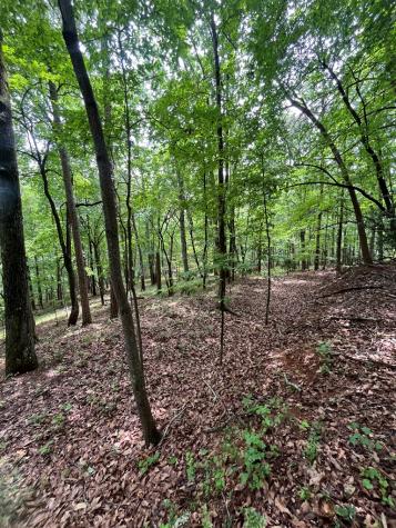0 Whitestone Drive Cleveland GA 30528