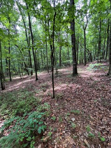0 Whitestone Drive Cleveland GA 30528