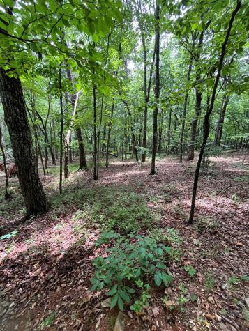 0 Whitestone Drive Cleveland GA 30528