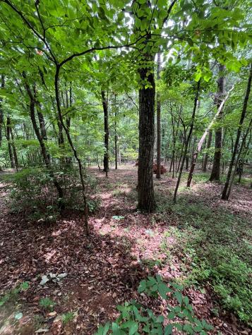 0 Whitestone Drive Cleveland GA 30528