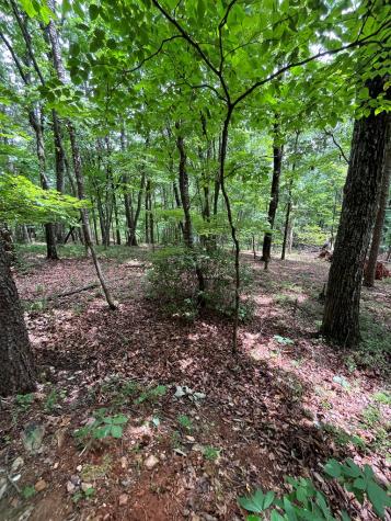 0 Whitestone Drive Cleveland GA 30528