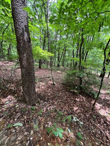 0 Whitestone Drive Cleveland GA 30528