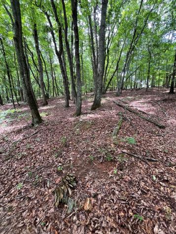 0 Whitestone Drive Cleveland GA 30528