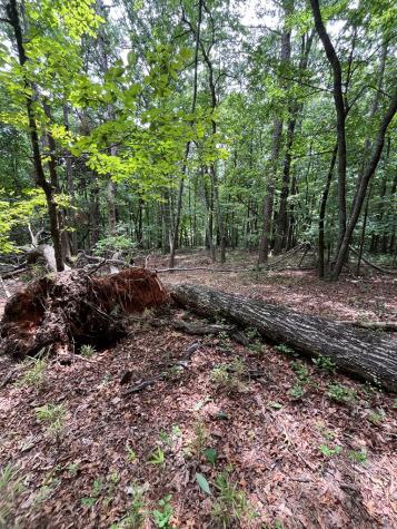 0 Whitestone Drive Cleveland GA 30528