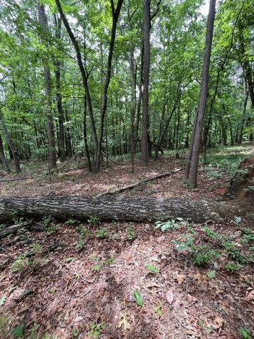 0 Whitestone Drive Cleveland GA 30528