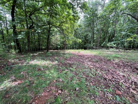 0 Whitestone Drive Cleveland GA 30528