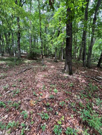 0 Whitestone Drive Cleveland GA 30528