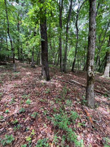 0 Whitestone Drive Cleveland GA 30528