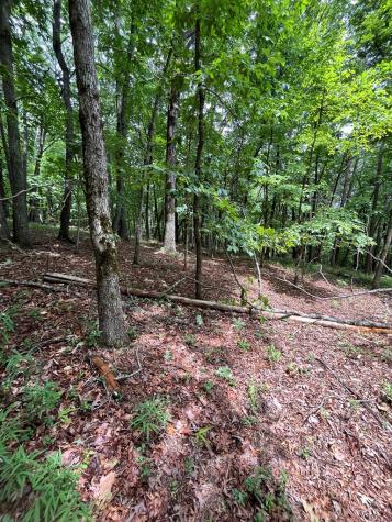 0 Whitestone Drive Cleveland GA 30528