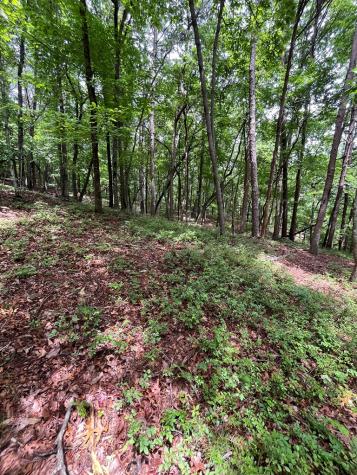 0 Whitestone Drive Cleveland GA 30528