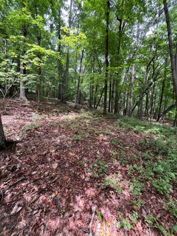 0 Whitestone Drive Cleveland GA 30528