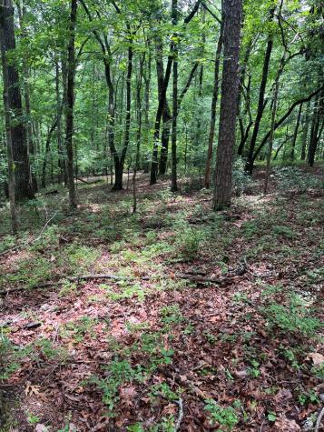0 Whitestone Drive Cleveland GA 30528