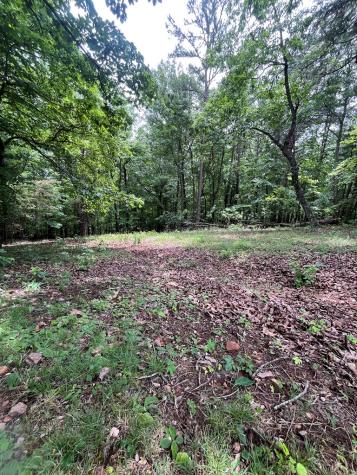 0 Whitestone Drive Cleveland GA 30528