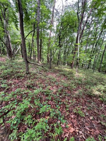 0 Whitestone Drive Cleveland GA 30528