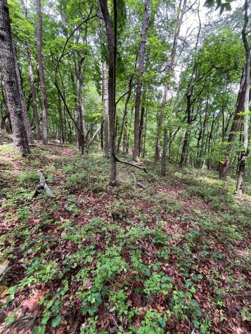 0 Whitestone Drive Cleveland GA 30528