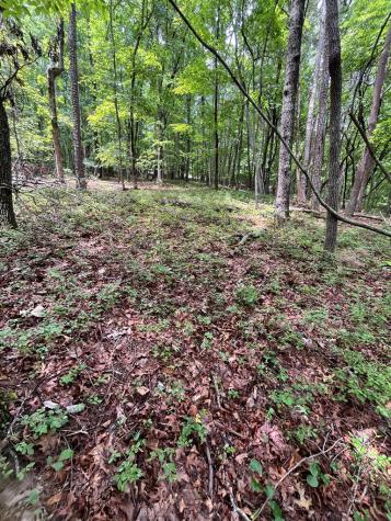 0 Whitestone Drive Cleveland GA 30528