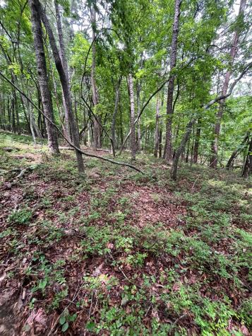 0 Whitestone Drive Cleveland GA 30528