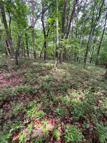 0 Whitestone Drive Cleveland GA 30528