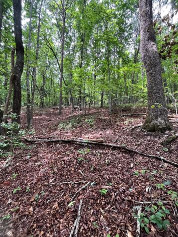 0 Whitestone Drive Cleveland GA 30528