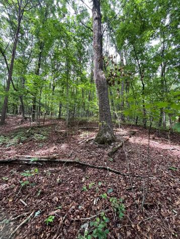 0 Whitestone Drive Cleveland GA 30528