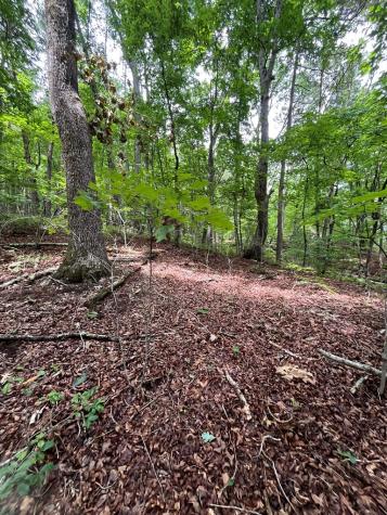 0 Whitestone Drive Cleveland GA 30528