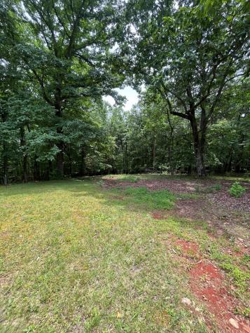 0 Whitestone Drive Cleveland GA 30528