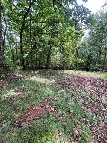 0 Whitestone Drive Cleveland GA 30528