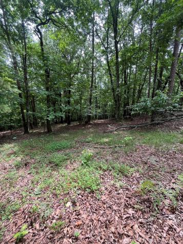 0 Whitestone Drive Cleveland GA 30528