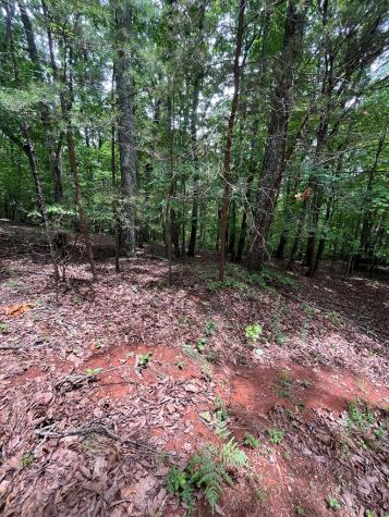 0 Whitestone Drive Cleveland GA 30528