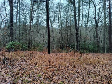 Lot 39 Kells Ridge Drive East Ellijay GA 30540