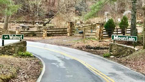 M164 Walnut Ridge Ellijay GA 30336