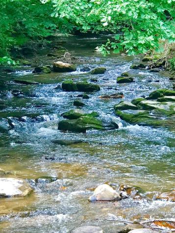 M164 Walnut Ridge Ellijay GA 30336