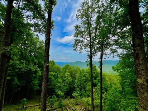 M164 Walnut Ridge Ellijay GA 30336