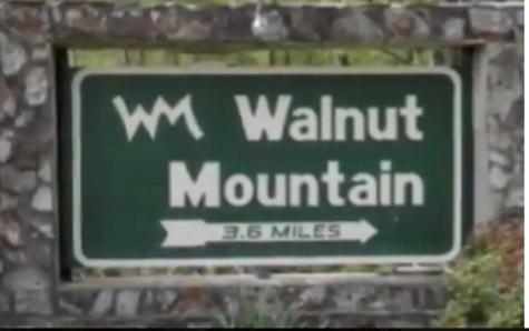 M164 Walnut Ridge Ellijay GA 30336