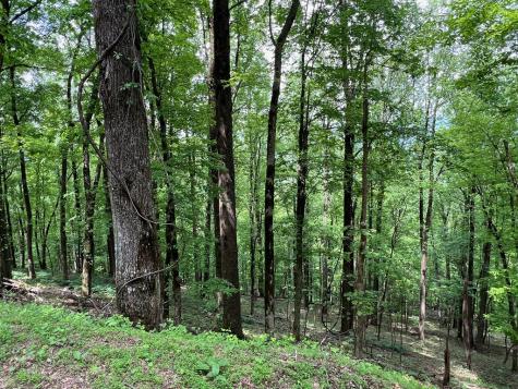 M164 Walnut Ridge Ellijay GA 30336