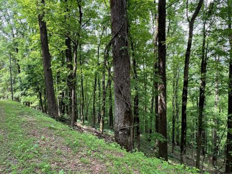 M164 Walnut Ridge Ellijay GA 30336