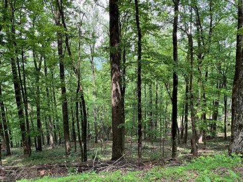 M164 Walnut Ridge Ellijay GA 30336