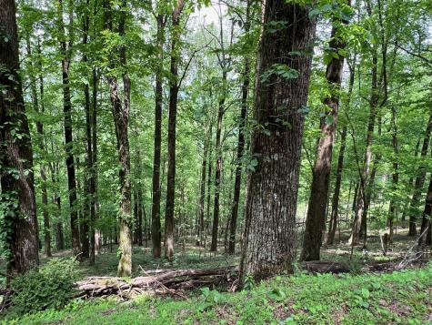 M164 Walnut Ridge Ellijay GA 30336