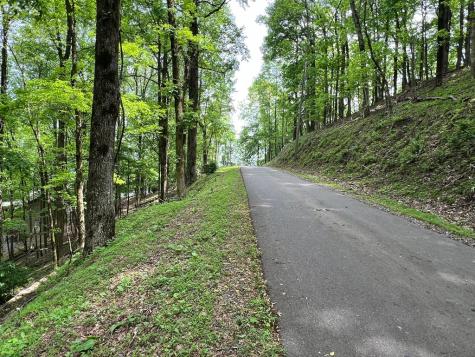 M164 Walnut Ridge Ellijay GA 30336