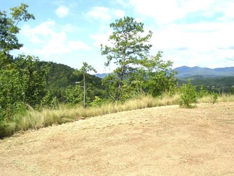 247 Rice Lane Marble NC 28905