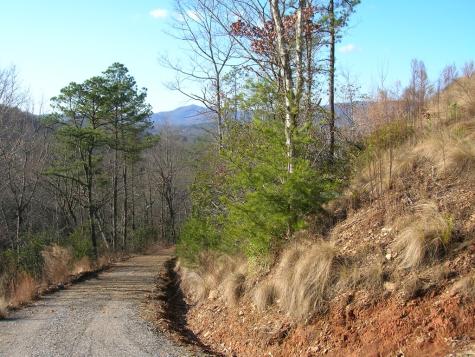 247 Rice Lane Marble NC 28905