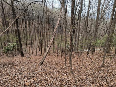 M99 Sleepy Hollow Road Ellijay GA 30536