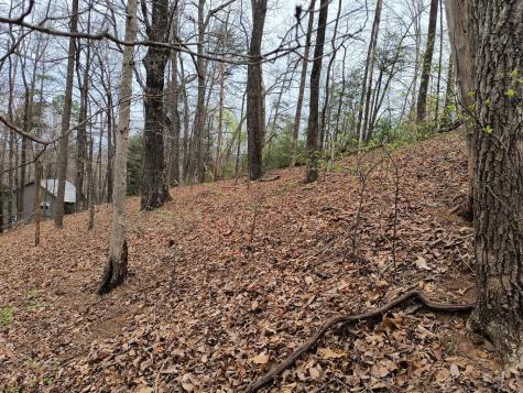 M99 Sleepy Hollow Road Ellijay GA 30536